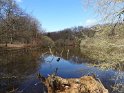 2016-04-07 14-32-46 Rando Poigny la Foret DLe